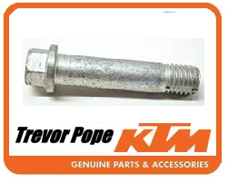 Hh Collar Screw 12x55