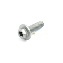Hh Collar Screw 6x20