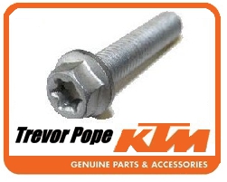 Hh Collar Screw 8x40 Tx40