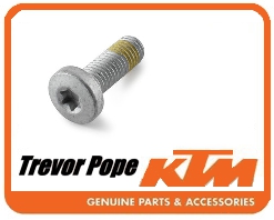 Hh Collar Screw M10x24 Isa45 S