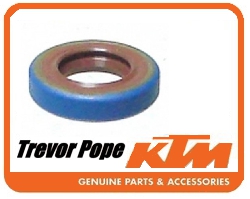 Seal Ring 10x18x4 Rfs Pump