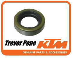 Seal Ring 17x28x7       Ks