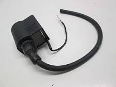 Ignition Coil Beta      *