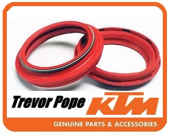 Dust Seal  48x58,4x5,7