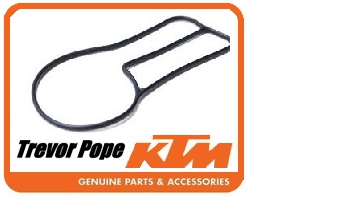 Gasket Water Pump Cover