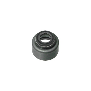 S10) Valve Stem Seal