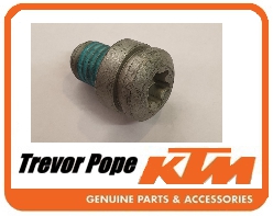 Sidestand Stop Screw10x12