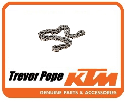 Cam Chain  110l  450