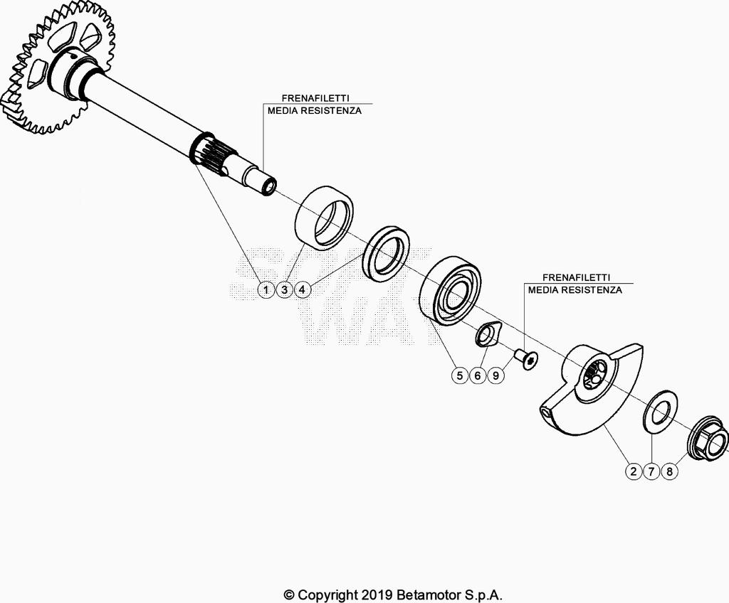 CRANKSHAFT PISTON BALANCER SHAFT