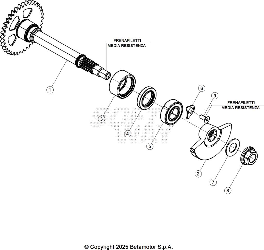 CRANKSHAFT PISTON BALANCER SHAFT
