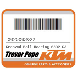 Grooved Ball Bearing 6302 C3