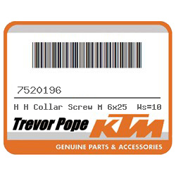 H H Collar Screw M 6x25  Ws=10