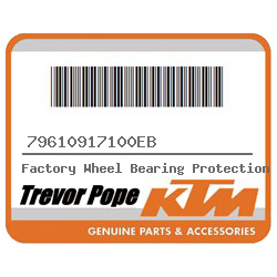 Factory Wheel Bearing Protection Cap Kit